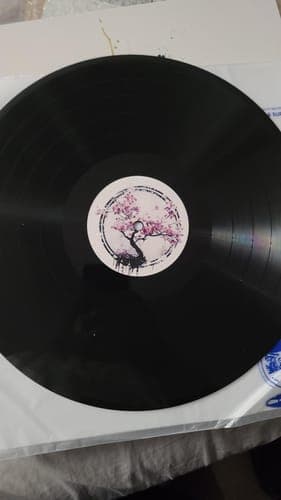 D Λ.'s Custom Vinyl Records