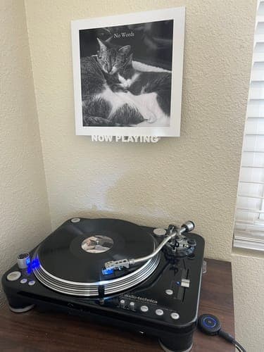 Macy's Custom Vinyl Records