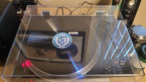 Chessina T.'s Custom Vinyl Records