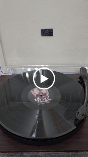 Paul T.'s Custom Vinyl Records